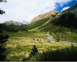 《龙腾世纪：影障守护者》发售日将在8月正式公布